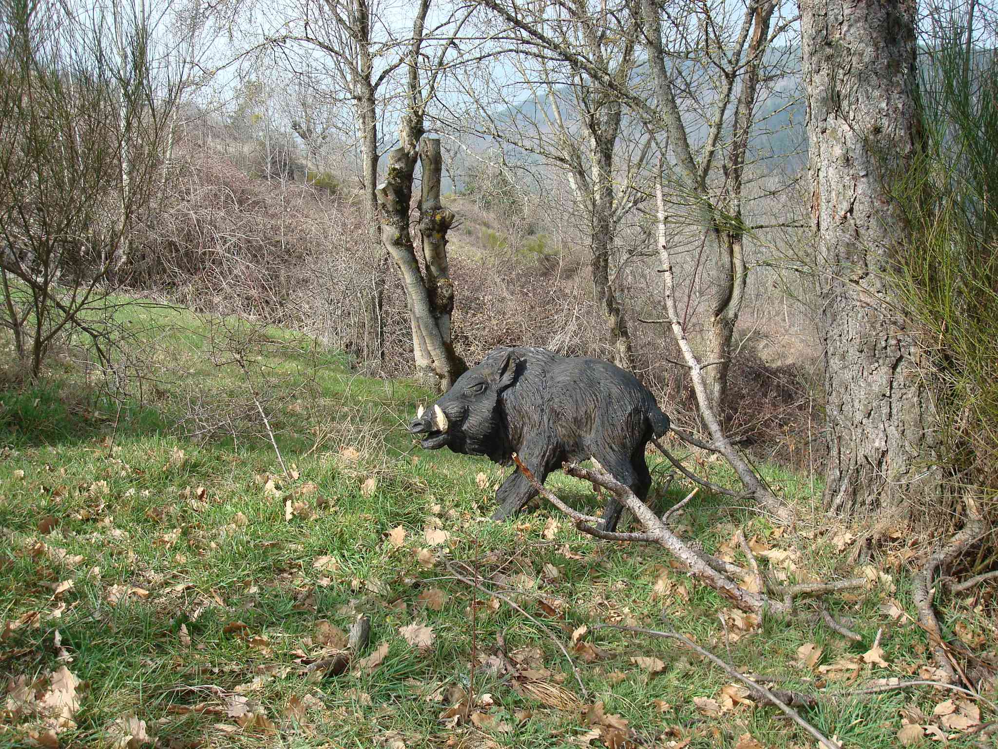 sanglier